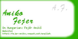aniko fejer business card